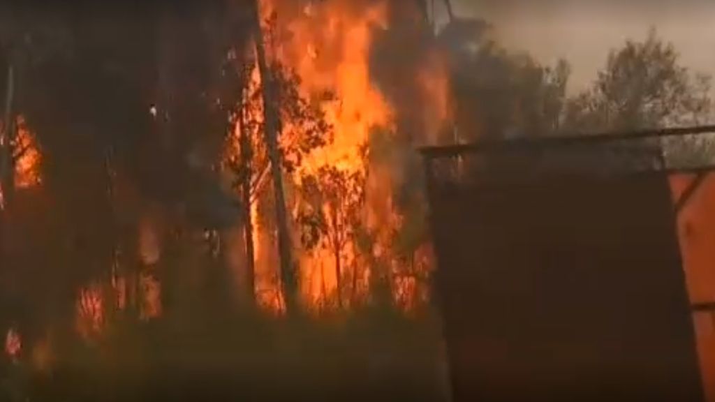 El sur de Chile sufre una serie de incendios que arrasan con 39.000 hectáreas