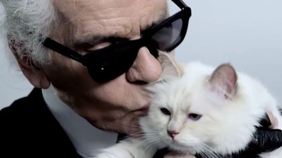 Choupette, la gata y heredera de la fortuna de Karl Lagerfeld, se despide de su padre