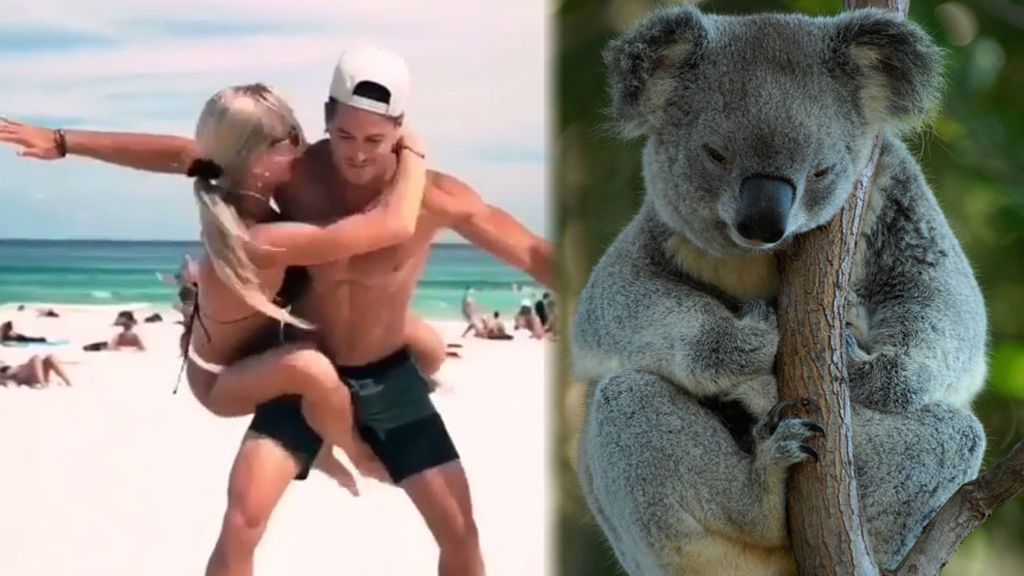 Los mejores Koala Challenge de las redes: ¿te atreverías a probarlo?