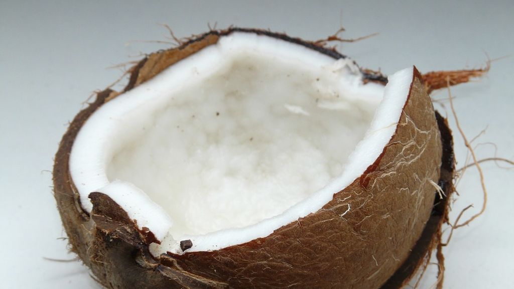 coconut-60395_960_720