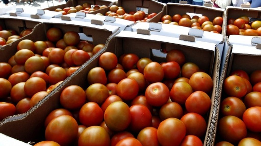 tomates