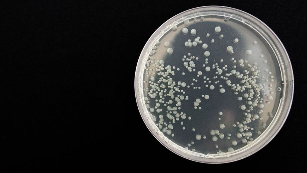 Vive infectado por la bacteria 'comecarne' durante meses sin darse cuenta