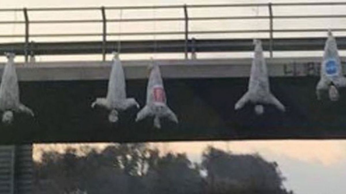 Vox presenta una denuncia por odio por los muñecos ahorcados en un puente con las siglas de Cs, PP y PSC