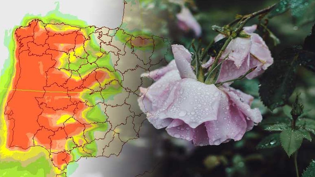 Cambio de tiempo: saca el paraguas, dos borrascas dejan lluvias generalizadas Cambio de tiempo: saca el paraguas, dos borrascas dejan lluvias generalizadas