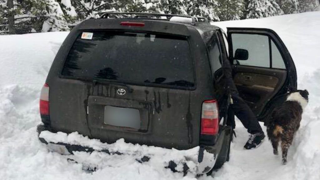 Un hombre y su perro sobreviven gracias a salsa de tacos