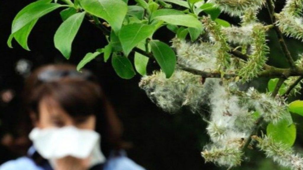 El polen no da tregua a los alérgicos: estas son las zonas más afectadas