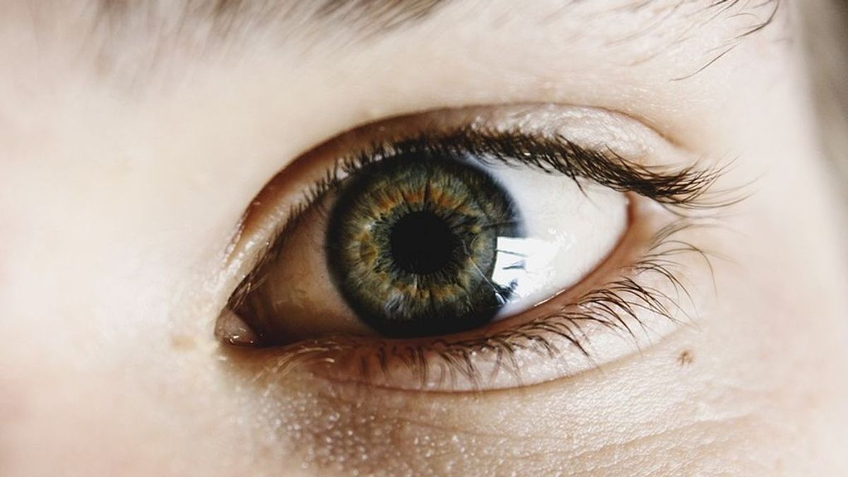 La detección precoz del glaucoma podría evitar un 95% de los casos de ceguera