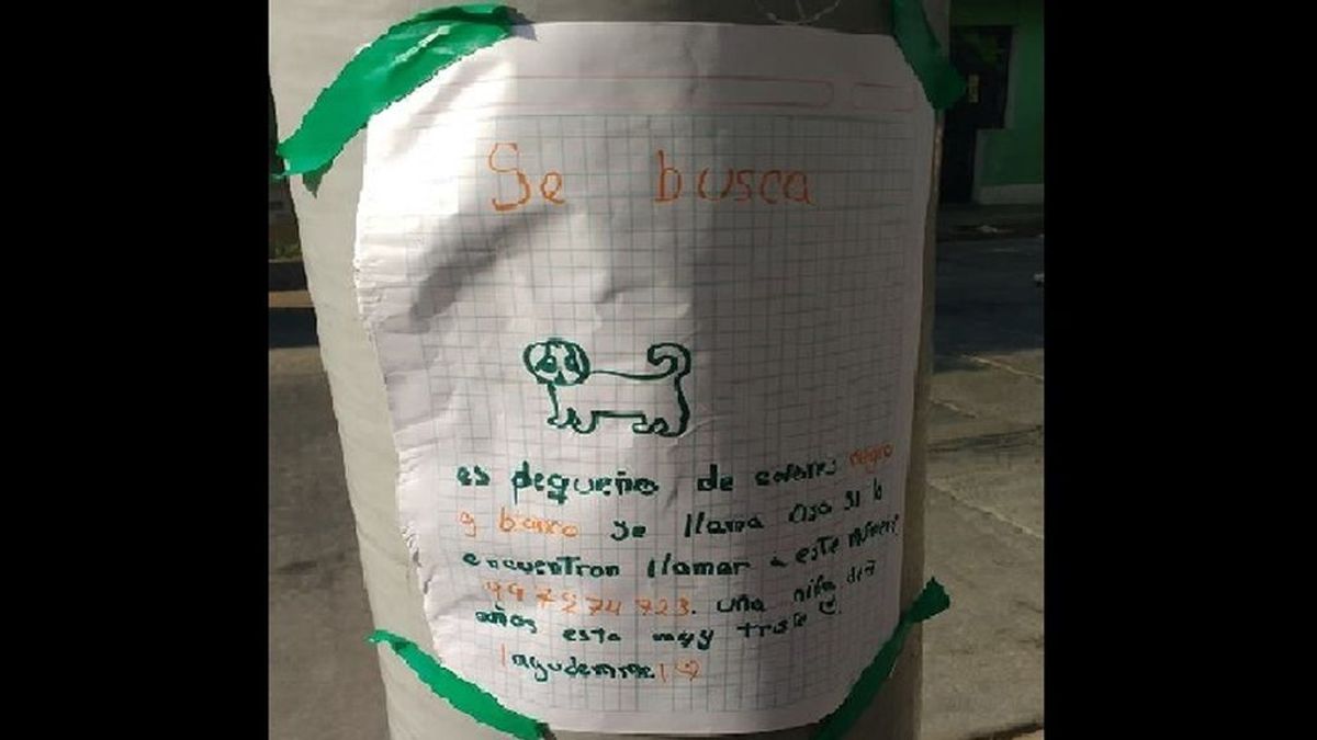 El conmovedor cartel de una niña de 7 años para encontrar a su perro