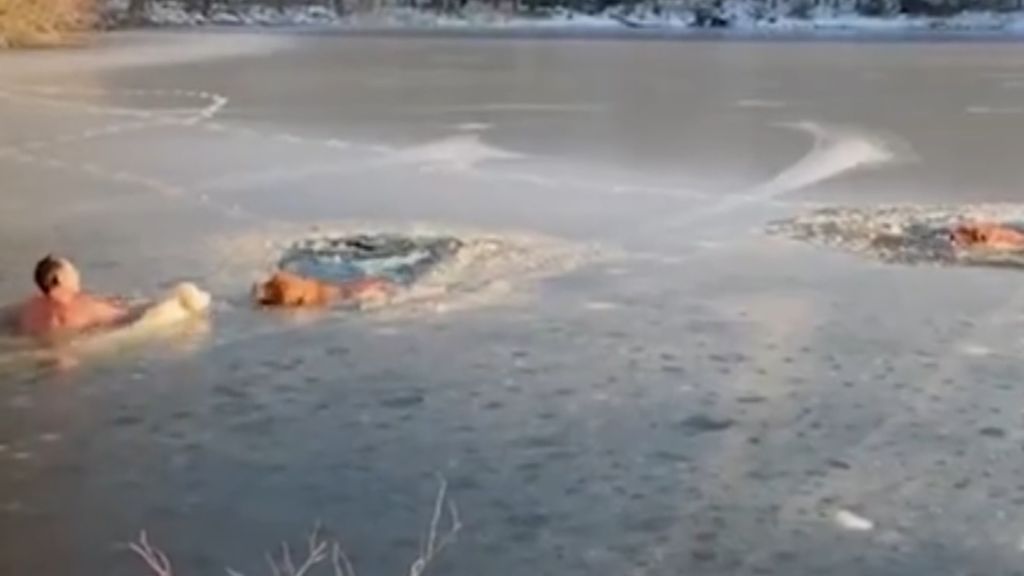 Un hombre y su perro rescatan a dos cachorros atrapados en un lago helado