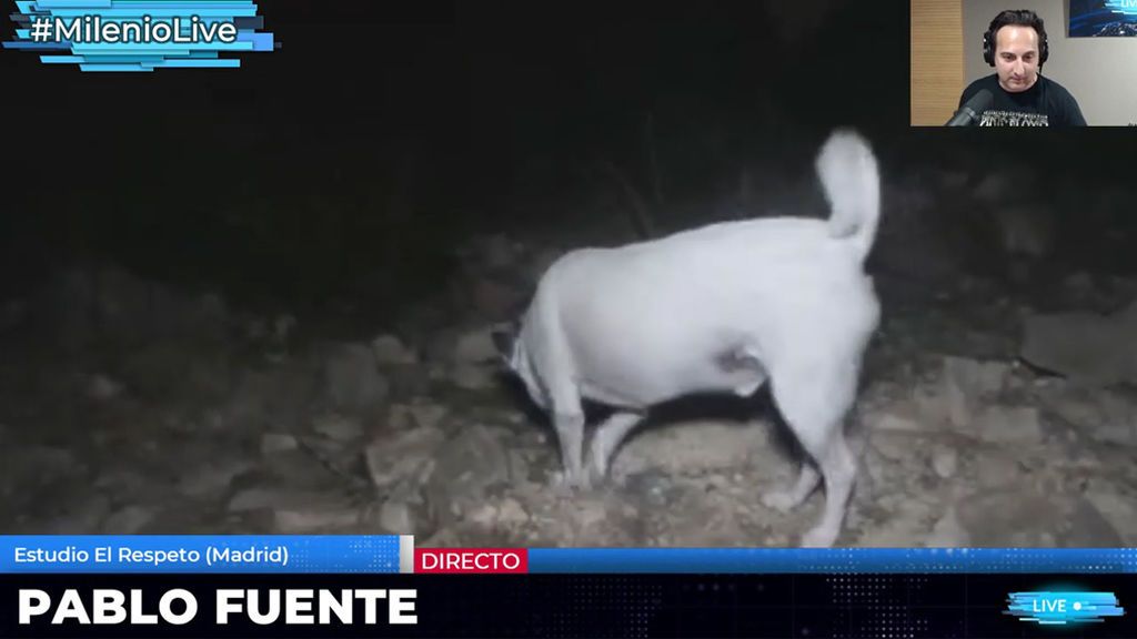 Milenio Live (16/03/2019) - Jafra: la aldea del silencio (2/3)