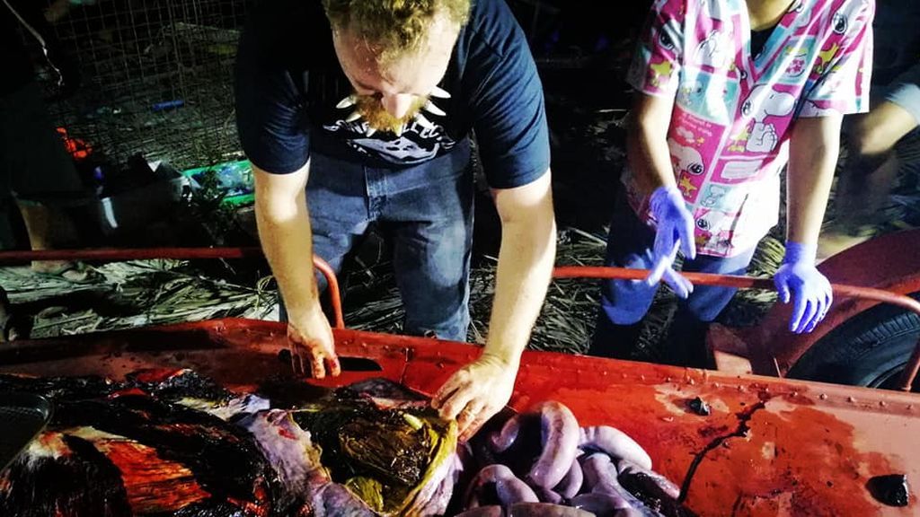 Encuentran una ballena muerta con más de 40 kilos de plásticos en su estómago