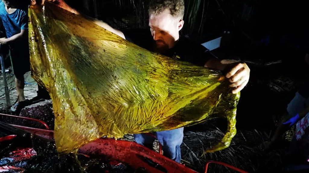 Encuentran una ballena muerta con más de 40 kilos de plástico en su estómago