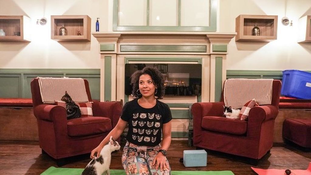 Yoga con gatos, la nueva forma de reducir el estrés