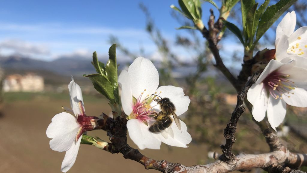Josep Maria Picas Prat en Casserres, Barcelona