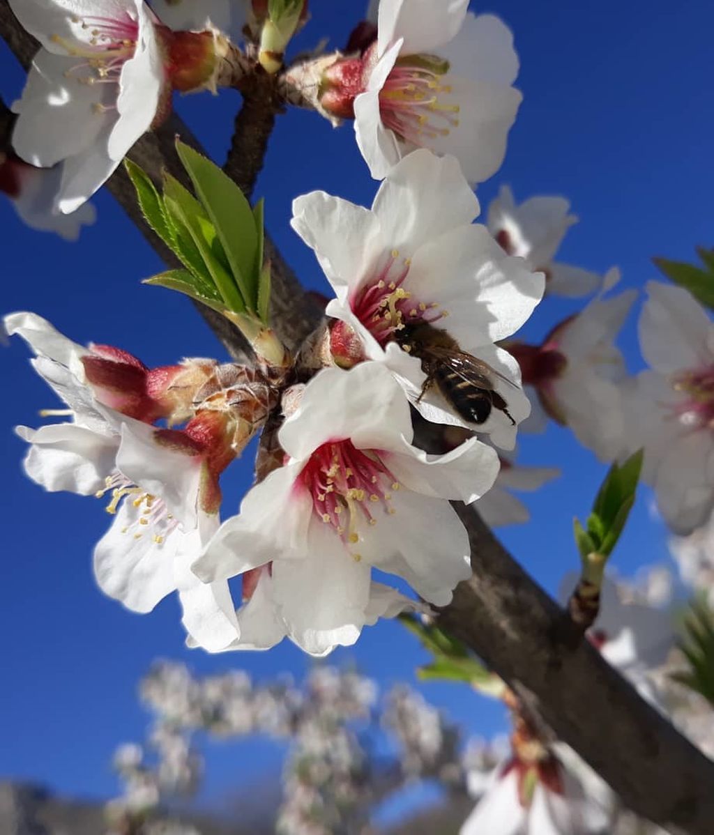 Ángel Sánchez Martínez en Puebla de Don Fabrique, Granada