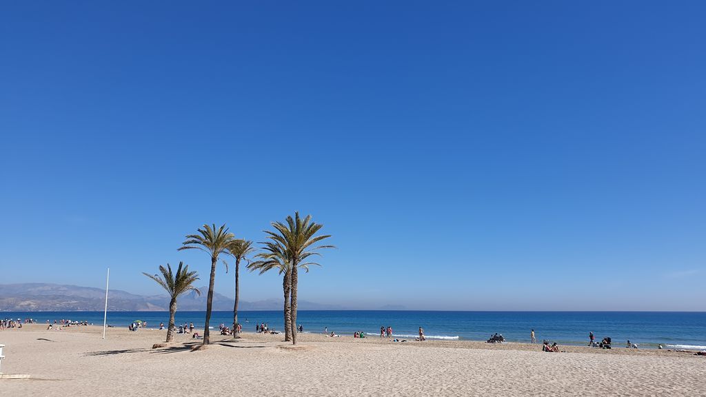 David Michelena Sanchez en Playa de San Juan, Alicante