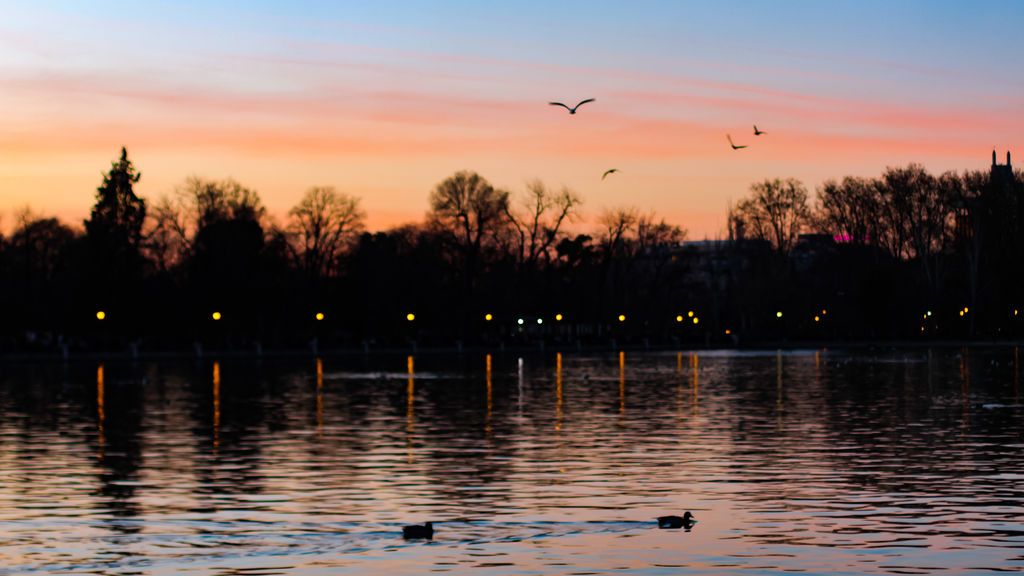 Milena Rodríguez Zabala en Madrid