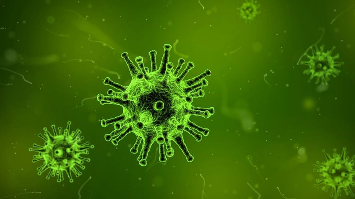 Los beneficios de los fagos, el futuro de la ciencia