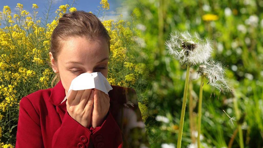 Calor y falta de lluvias: bueno para unas alergias y crítico para otras