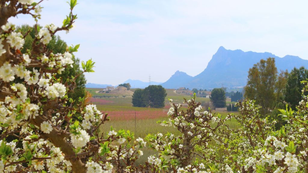 Cristóbal Gil López en Cieza, Murcia