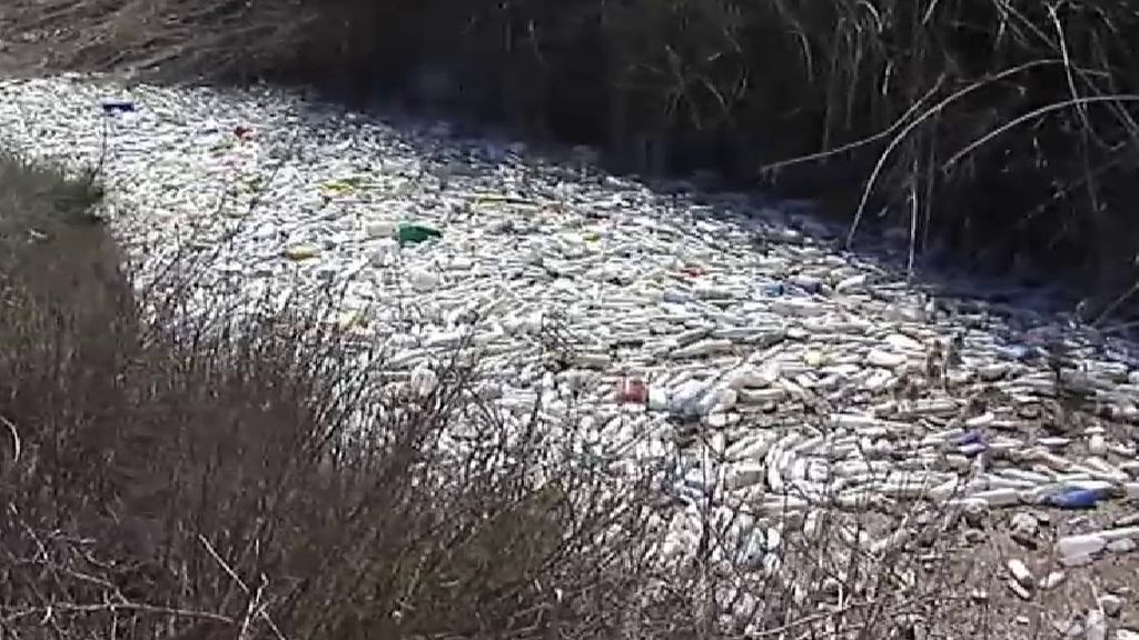 Más de 20 toneladas de plástico invaden la desembocadura del Segura