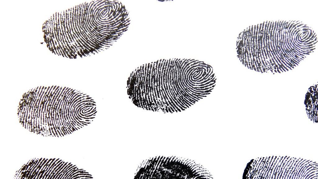 fingerprint-456486_960_720