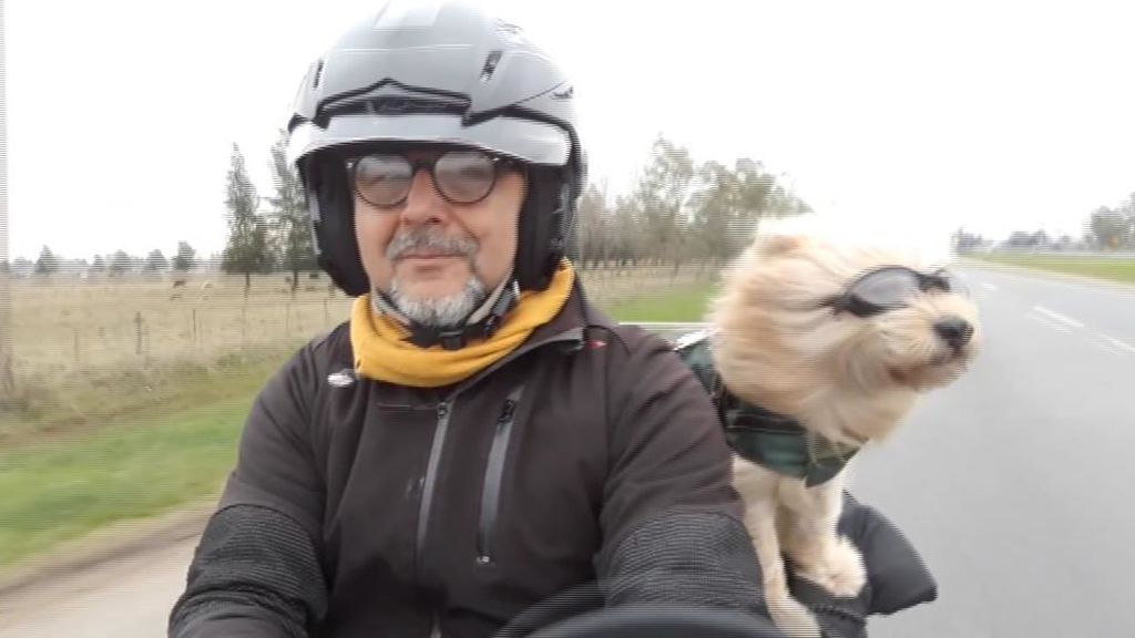 El perro viajero que recorre América del Sur