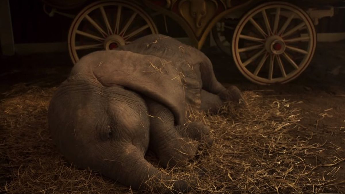 La triste y circense vida del elefante que inspiró Dumbo