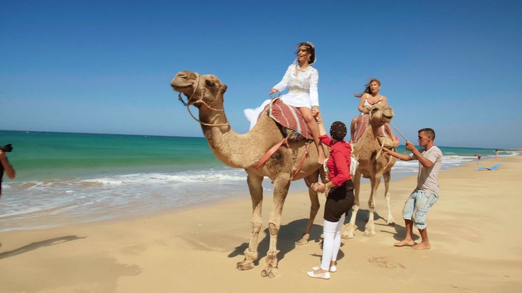 Los camellos y su madre: Las peores pesadillas de Noemí Salazar en Marruecos