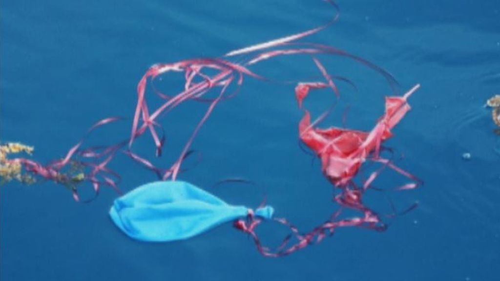 Los globos: una amenaza ecológica
