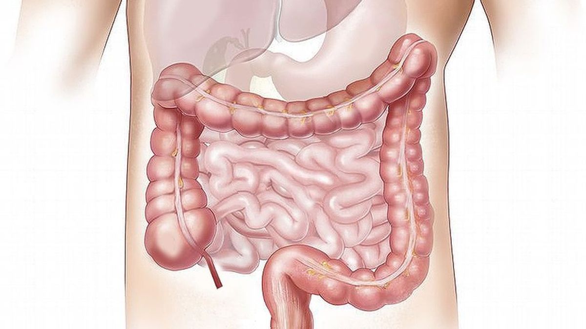 Descubre por qué el 31 de marzo es el Día Internacional Contra el Cáncer de Colon