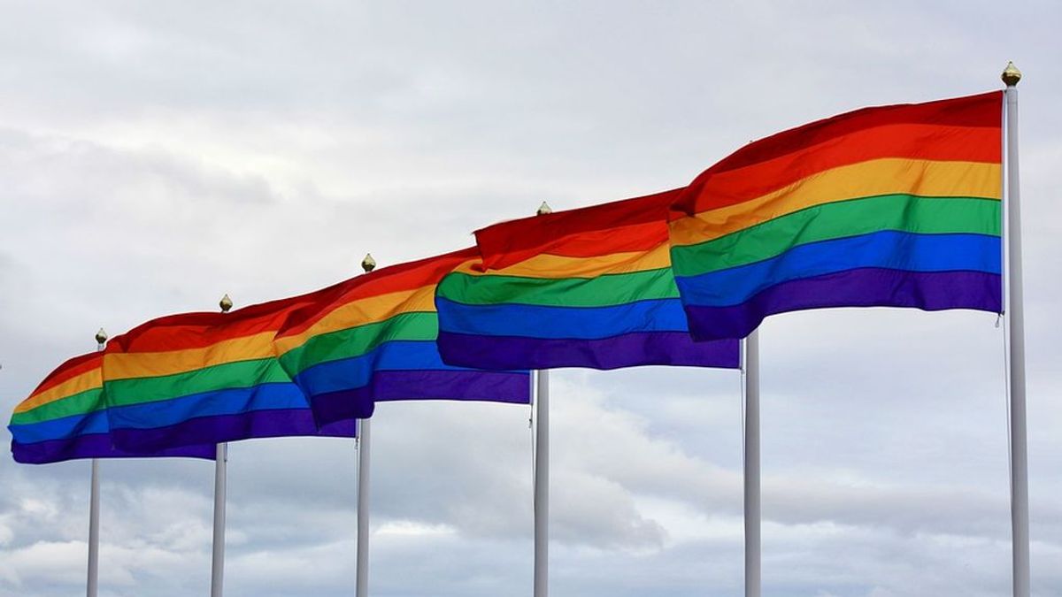 El Colegio de Psicólogos de Madrid muestra su rechazo a las pseudoterapias destinadas a 'curar' la homosexualidad