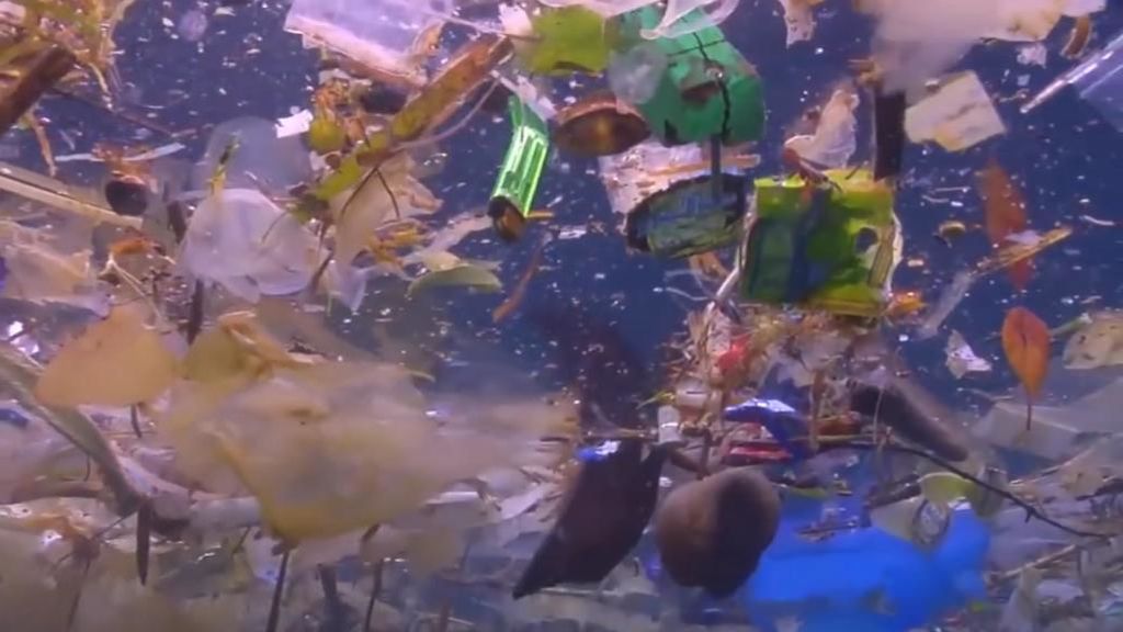 Cientos de kilos de plástico contaminan la playa de Tenerife