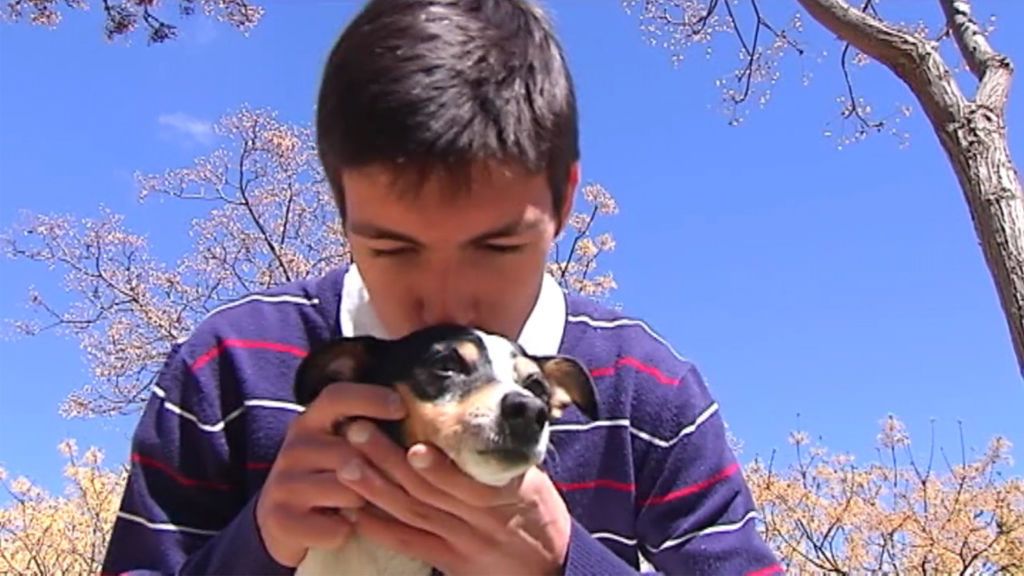 El feliz reencuentro de una perra con su dueño tras pasar tres años perdida