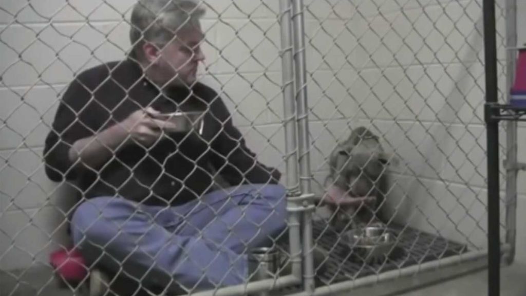 El curioso método de un veterinario para que un perro maltratado vuelva a comer
