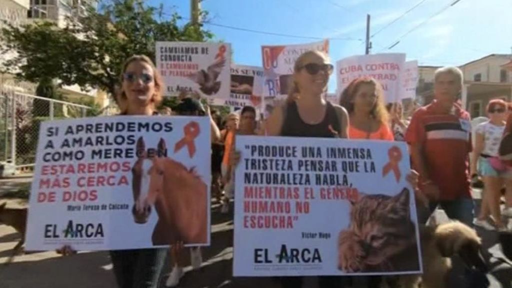 En Cuba se manifiestan por los derechos de los animales