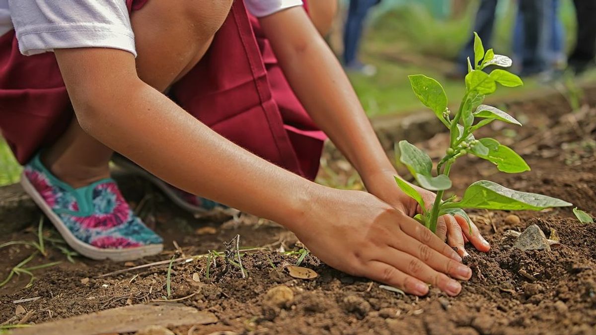 Test 'no hay un plan B': descubre qué causa 'eco' es la tuya