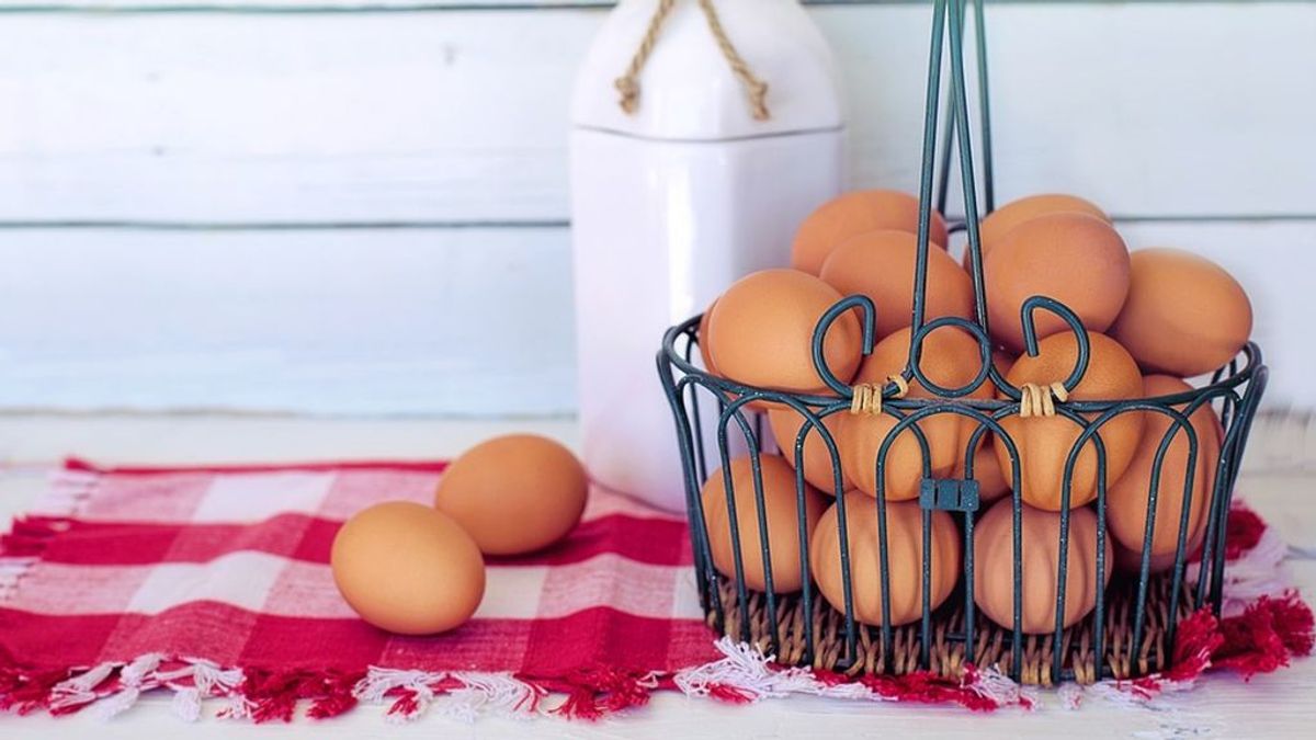 Cómo conservar los huevos