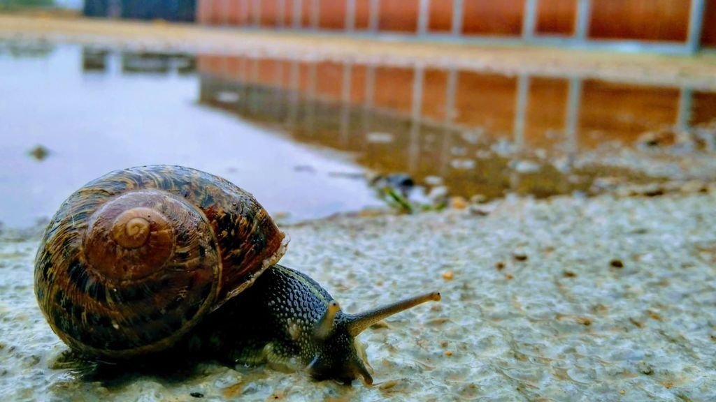 Fernando Pujante Córdoba en Murcia