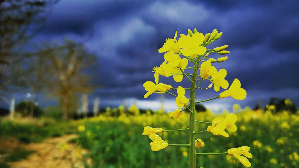 Los usuarios nos muestran el tiempo que hace en su localidad en primavera ¡Participa!