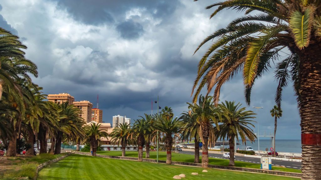 Antonio Rico en Telde, Gran Canaria