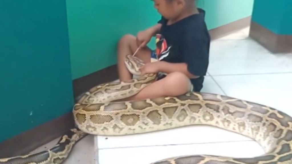 Impactantes imágenes de una niña tratando a una serpiente y un cocodrilo como mascotas domésticas