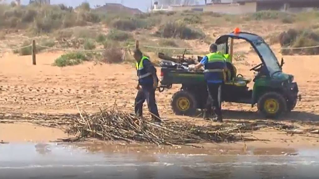 Pérdidas millonarias y cultivos echados a perder en la Comunidad Valenciana por el temporal de lluvias y viento
