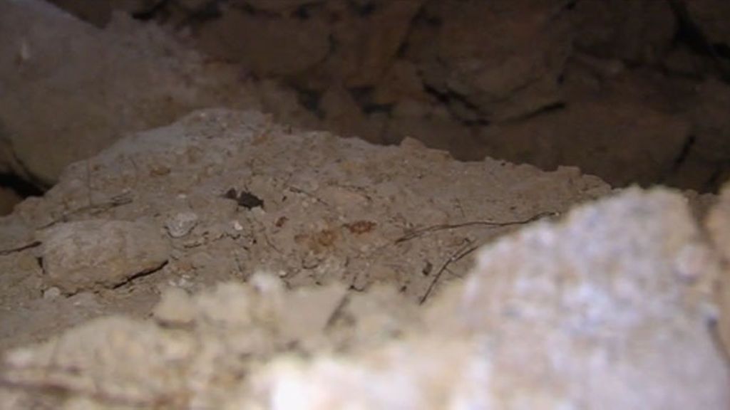 Crimen de Adeje: entramos en la cueva del horror donde fueron encontrados los cadáveres