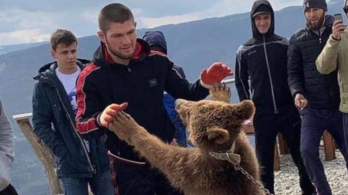 Khabib Khabib