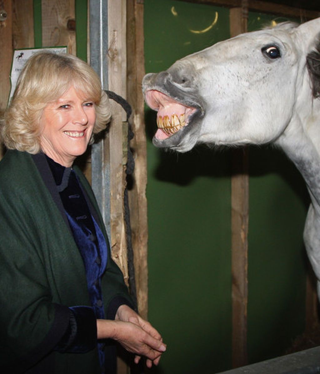 Camilla+Parker+Bowles+Duchess+Cornwall+Attends+EJEr2omHHVrl