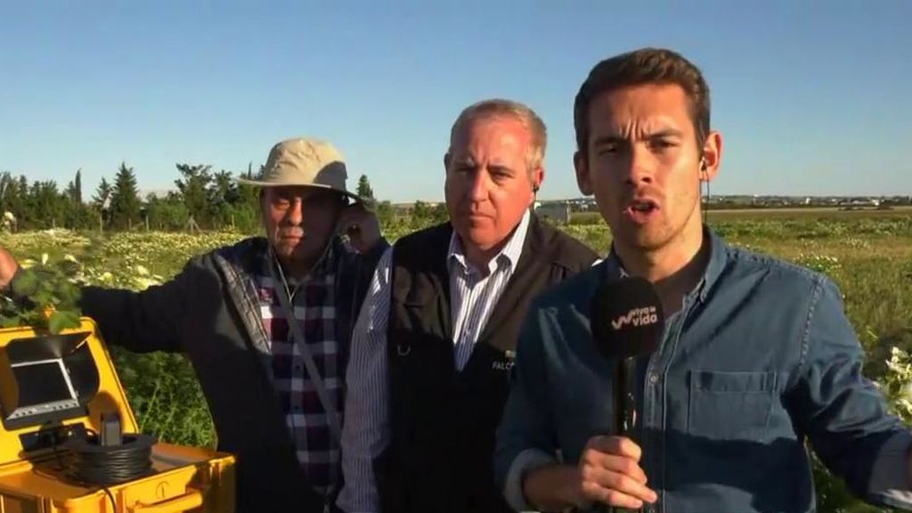 La búsqueda de Dionisio Ramos, en directo: se encuentran un bidón y una maleta