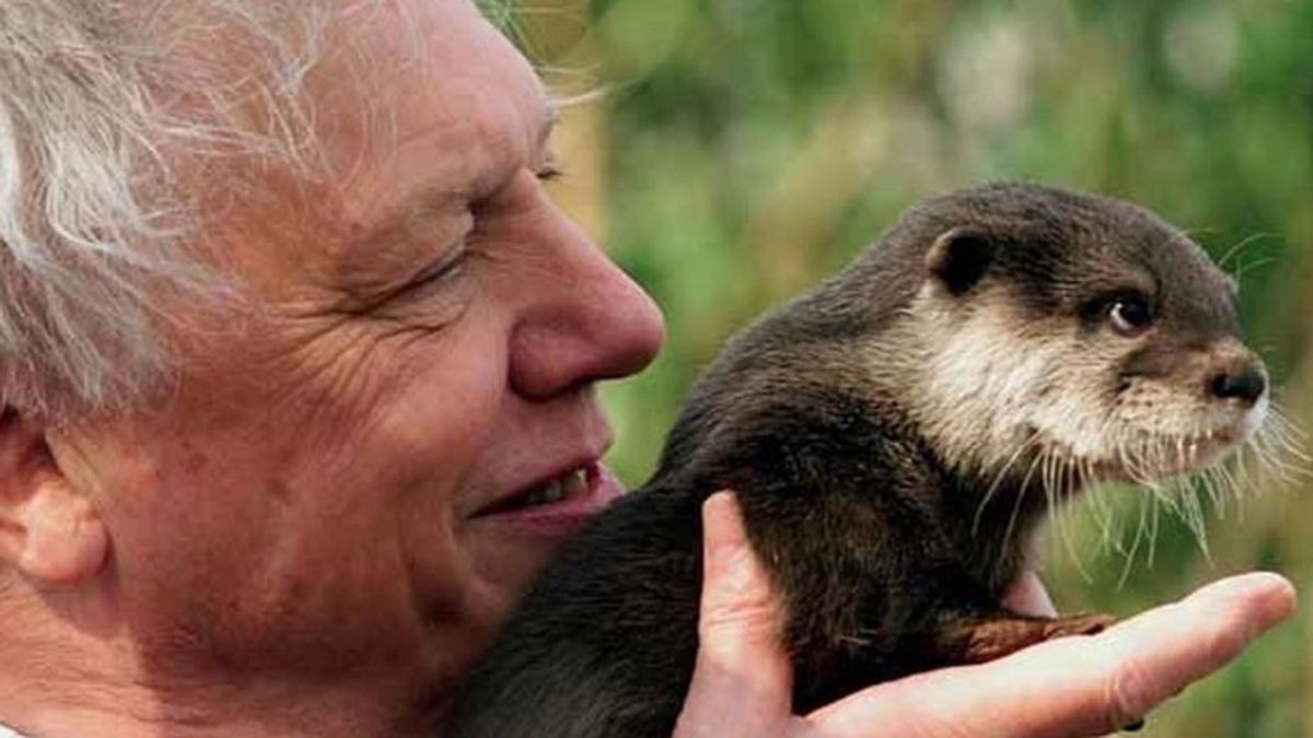 David Attenborough, aterrorizada a sus 93 años por el futuro del planeta