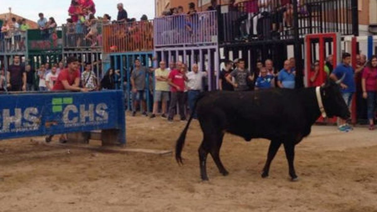 Un nuevo muerto en fiestas por asta de toro, esta vez en Xilxes