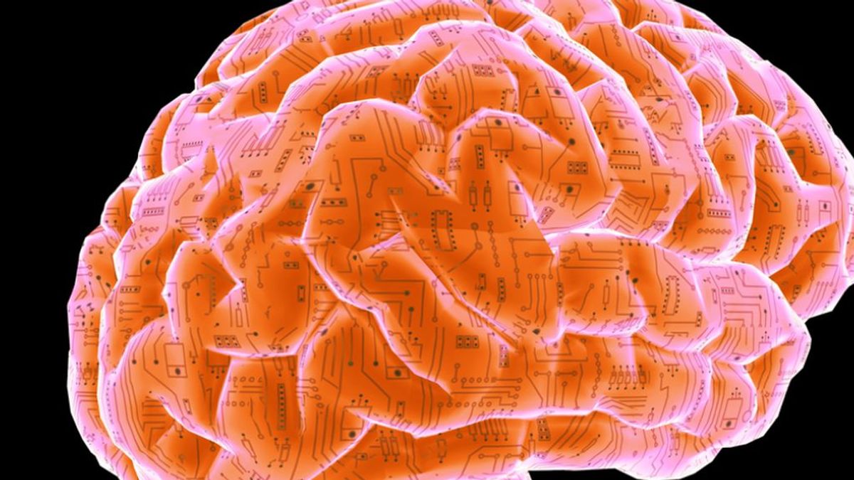 El cerebro siente y cura: lo que desconoces del órgano que controla tu cuerpo